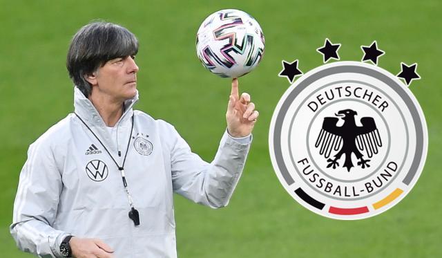 1622376508207060149.jpg low-germany-logo-ball.jpg
